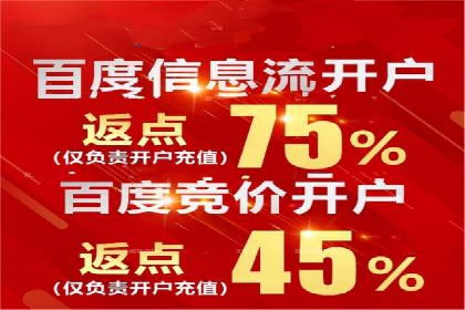 探索百度SEM竞价推广的奥秘：某行业巨头的成功经验
